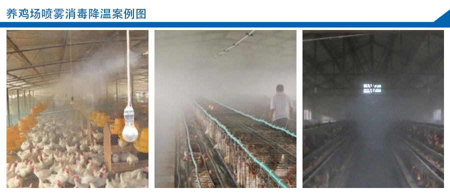养鸡场喷雾消毒降温案例